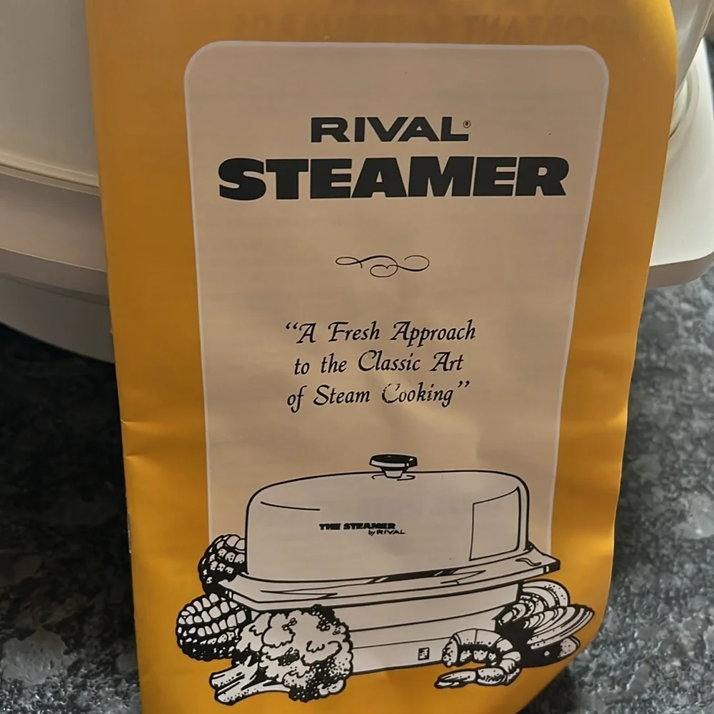 Rival vintage steamer